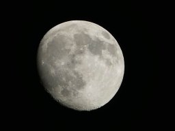 10109544